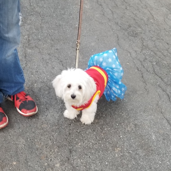 Meet your Posher, Milena - Picture 1 of 3